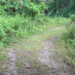 Orong Gewog residents frustrated by delayed bypass road