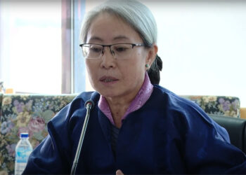 Government targets Nu 100bn in FDI by end of 13th Five-Year Plan