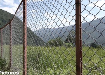 Farmers pin hopes on chain-link fencing to protect crops