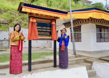 Protection desk across the country to promote welfare of women and children