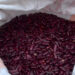 Kidney beans become lucrative crop for farmers in Lumang Gewog despite wildlife challenges
