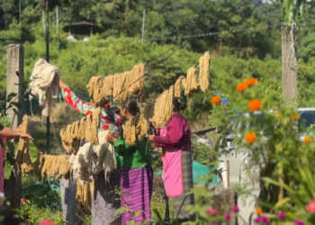 Revival of natural dyeing practice in Phuentshogling