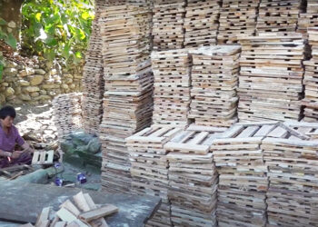 Wooden crates become key income source for Gomdar Gewog villagers