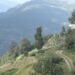 Drubchhugang road blacktopping pushed to next phase as Kapazhing gets priority, causing discontent among residents