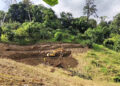 Farmers in Dewathang convert slopes into terraces to boost vegetable production