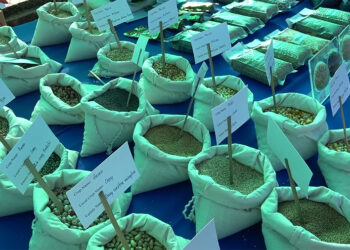 Over 1,000 rare seed samples collected for conservation at Biodiversity Fair