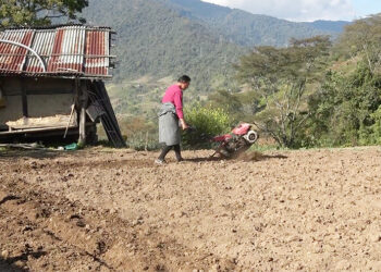 Machinery and tools transform farming in Dagana