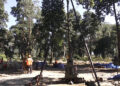 Geotechnical survey underway for Gelephu International Airport