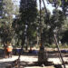 Geotechnical survey underway for Gelephu International Airport