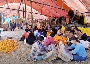 Winter jobs at orange depots help Samdrup Jongkhar students ease financial strain