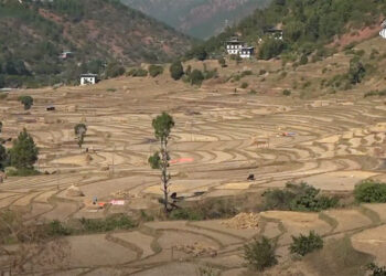 Delayed winter crop cultivation in Punakha’s Bjimithang Chiwog due to water shortage