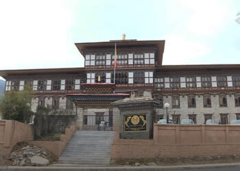 Non-performing Loans surpass Nu 8bn, trade and commerce sector leads