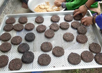 Soyabean Fermentation Group, tale of a thriving community-run business