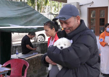 Cats and dogs’ sterilisation underway in Sarpang to make GMC rabies-free zone