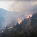 Over Nu 700,000 fined for forest fires in three years