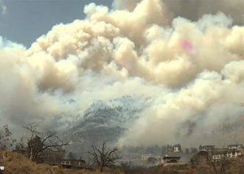 Human negligence fuels rising forest fires in Bhutan, threatening biodiversity and livelihoods