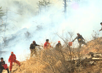 Recurring forest fire incidents spark safety concerns for firefighters