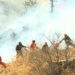 Recurring forest fire incidents spark safety concerns for firefighters