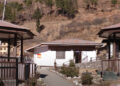 Shorter MDR-TB treatment proving effective