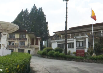 Government still working on mobile data reduction, no decision yet