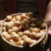Hazelnut production doubles in 2024, growers rewarded