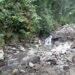 Irrigation project to solve water shortage for 70 households in Tsangkha, Dagana