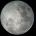 Moon gazing to raise funds for kidney patients