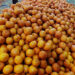 Orange prices hit new high in Samdrup Jongkhar