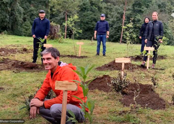 Tourists plant trees in Bhutan to offset carbon footprints