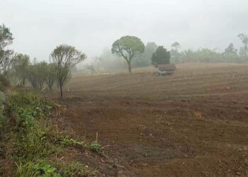 Land management project brings relief to Tikiliwoong farmers