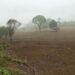 Land management project brings relief to Tikiliwoong farmers