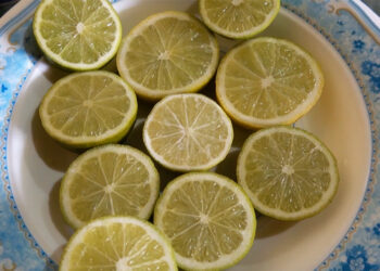 Lone farmer into commercial lemon farming