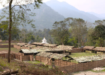 Panbang gears up for inaugural Manas Winter Festival to boost tourism