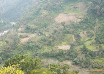 Shokshi Chiwog farmers struggle without road access