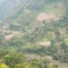 Shokshi Chiwog farmers struggle without road access