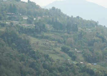 Landowners urge property tax review following relocation to Denchi – Pema Gatshel