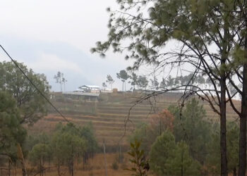 Yangnyer Gewog farmers introduce high-yield cattle and crops to revive Tshowoong Poktor land, Trashigang