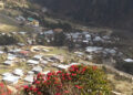 Preparations underway for Rhododendron Week in Merak Gewog
