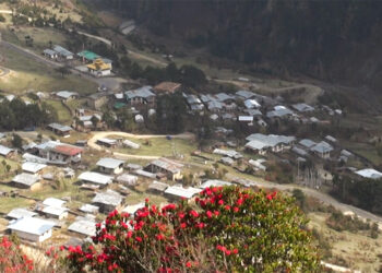 Preparations underway for Rhododendron Week in Merak Gewog