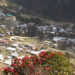 Preparations underway for Rhododendron Week in Merak Gewog