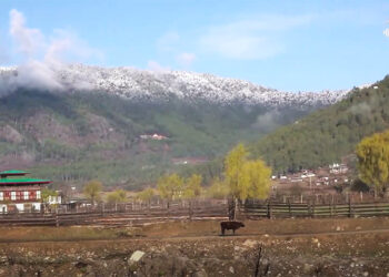 Feasibility study highlights Khotokha’s potential for eco-tourism, Wangdue Phodrang