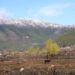 Feasibility study highlights Khotokha’s potential for eco-tourism, Wangdue Phodrang