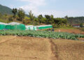 Sangshingzor Vegetable Group eyes expansion amid growing demand and water shortages, Samdrup Jongkhar