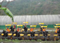 Samdrup Jongkhar farmers get mini power tillers under cost-sharing, aims to enhance farm productivity