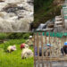 Country expected to receive more rainfall by 2060
