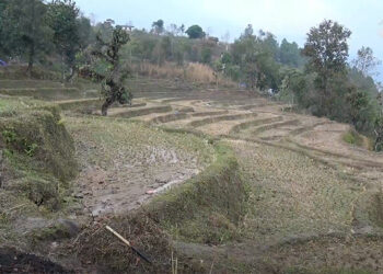 Farmers in Tsirang hope for increased harvest with chain-link fencing
