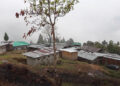 Parents call for boarding facility at Kazhi Primary School, Wangdue Phodrang