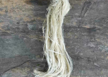 Transforming pineapple leaves into textile fibre – Durungri village, Pema Gatshel