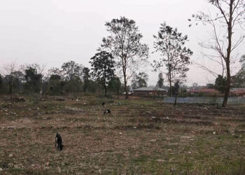 Over 550 landowners in Samtenling Gewog to make way for Gelephu International Airport