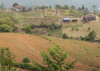 Restoration of irrigation water helps revive paddy cultivation, Orong Gewog
